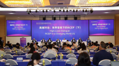 2025RCEP区域成长智库论坛